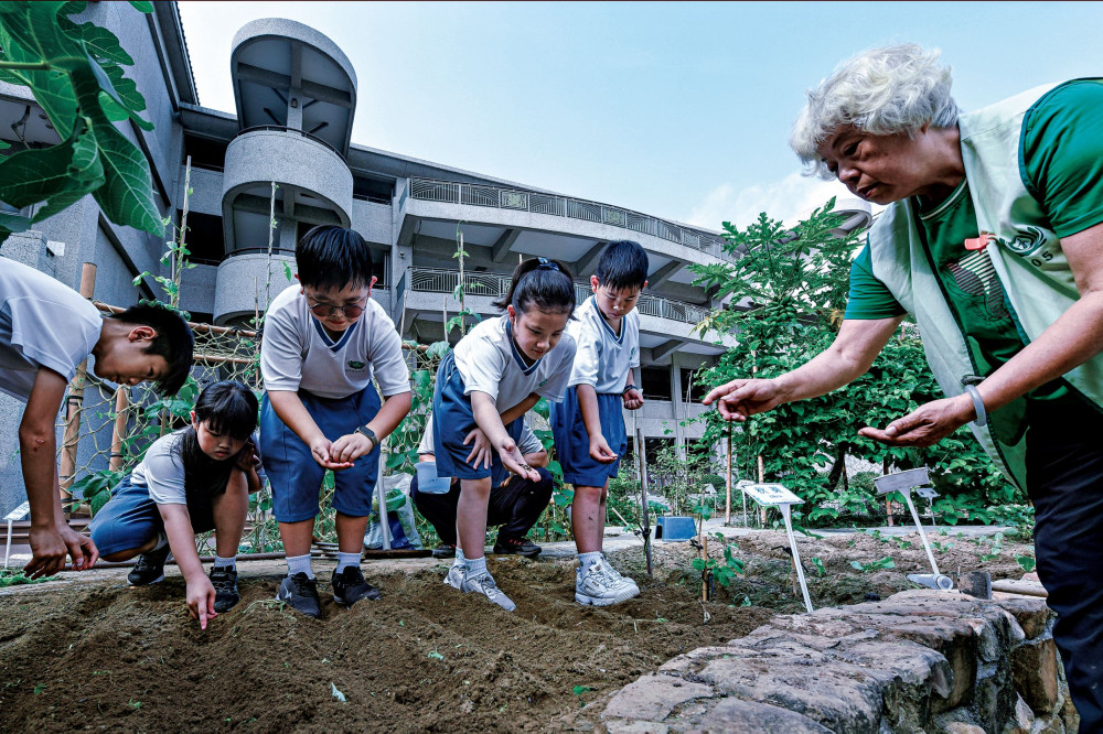 南市7校獲113年臺美生態學校聯盟國際認證 漁光分校與慈濟小學更獲綠旗認證肯定！