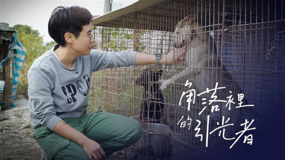 年度金視獎入圍公布 中嘉寬頻三冠王‧雙子星入圍6項大獎