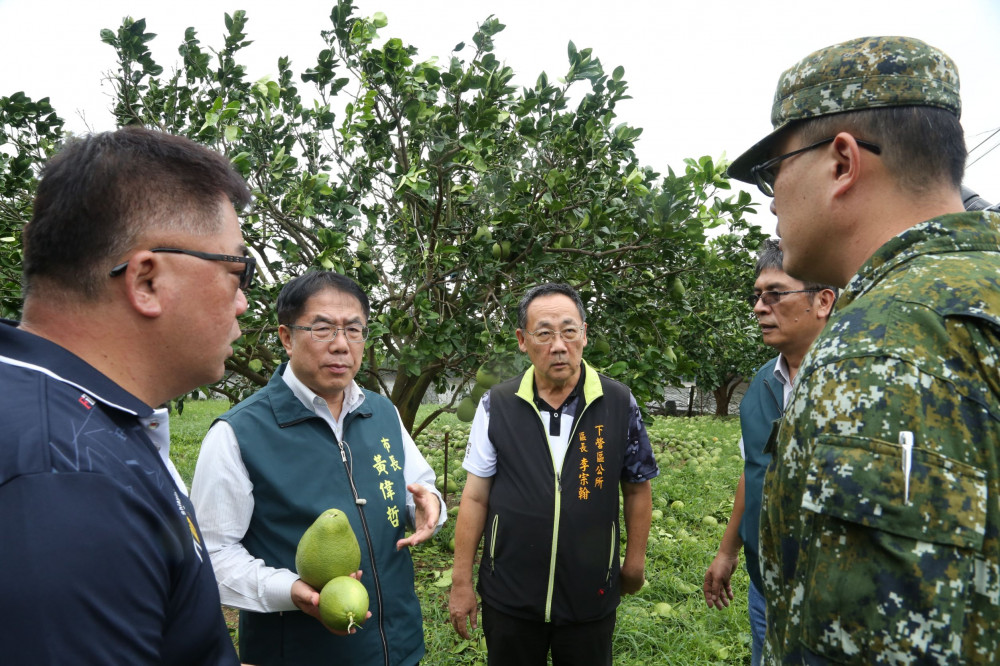 丹娜絲風力致台南文旦慘損 台南市長黃偉哲動員資源助農民