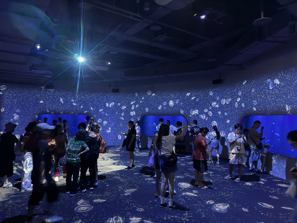 台中海洋館8/21開館！民眾熱情湧入見證6大首創亮點