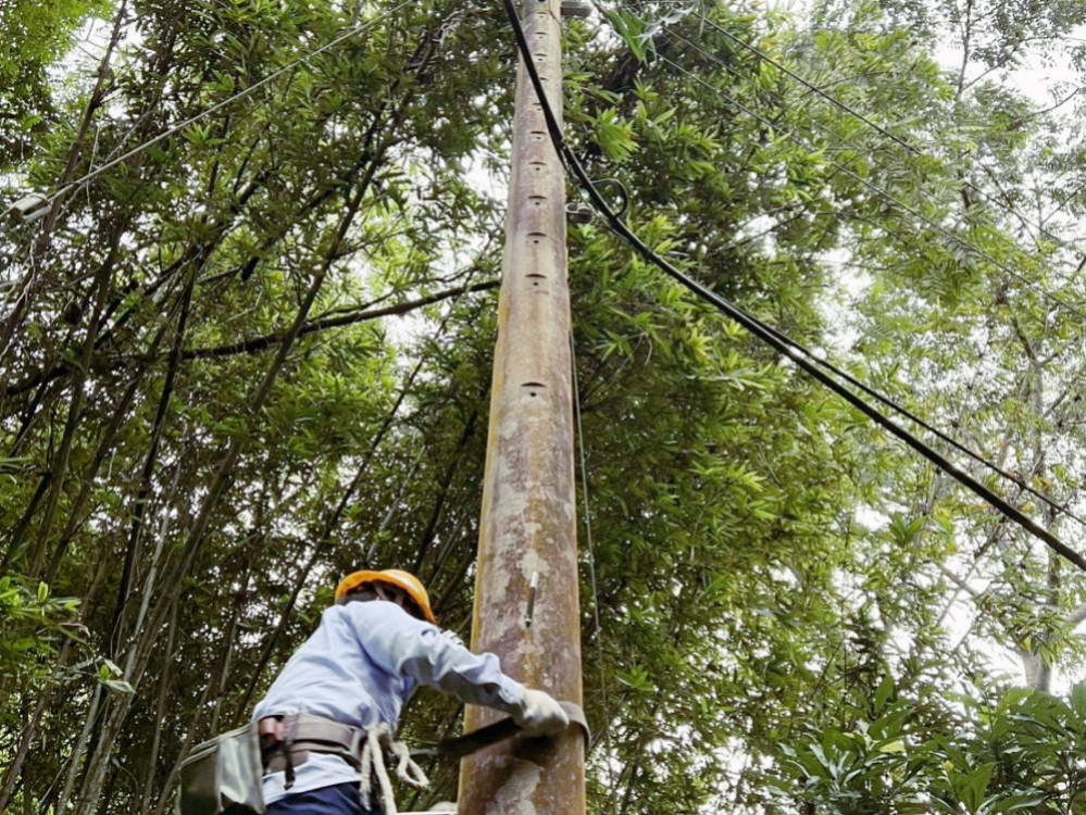 楊柳颱風外圍環流造成多起停電事故　台電新竹區處緊急搶修全面復電