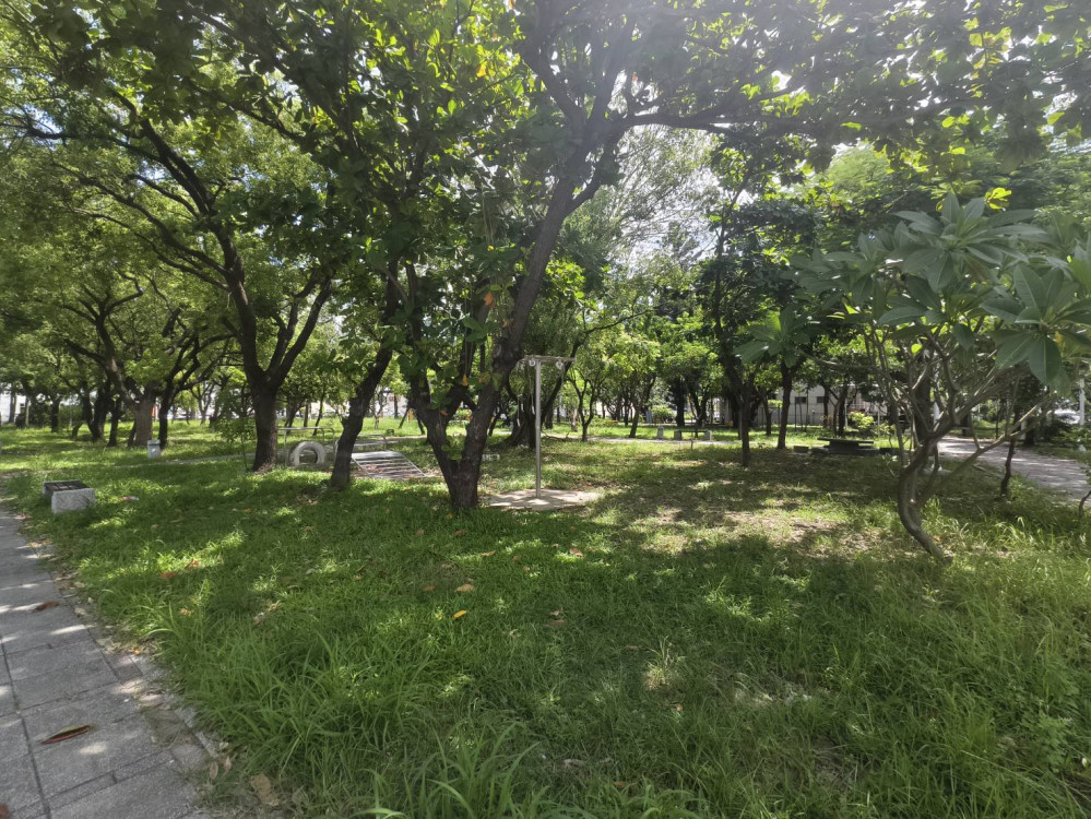 丹娜絲颱風致台南 2 萬餘棵樹傾倒 工務局完成清理並歡迎民眾反饋疏漏