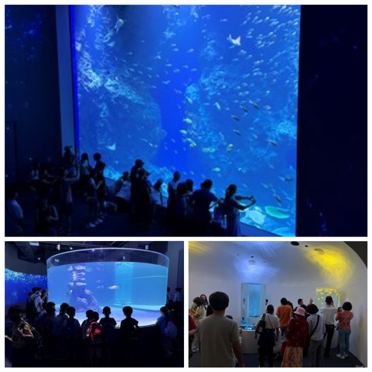 台中海洋館8/21開館！民眾熱情湧入見證6大首創亮點
