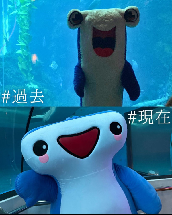 海生館八月精彩登場 集章兌滄龍×分享抽夜宿體驗×鯊寶見面會