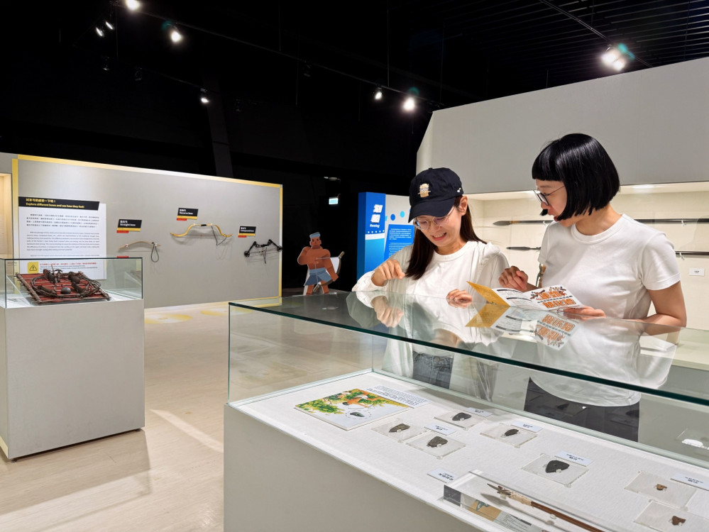 揭密古代智慧與文化魅力 十三行「運動競化論」特展倒數10天！