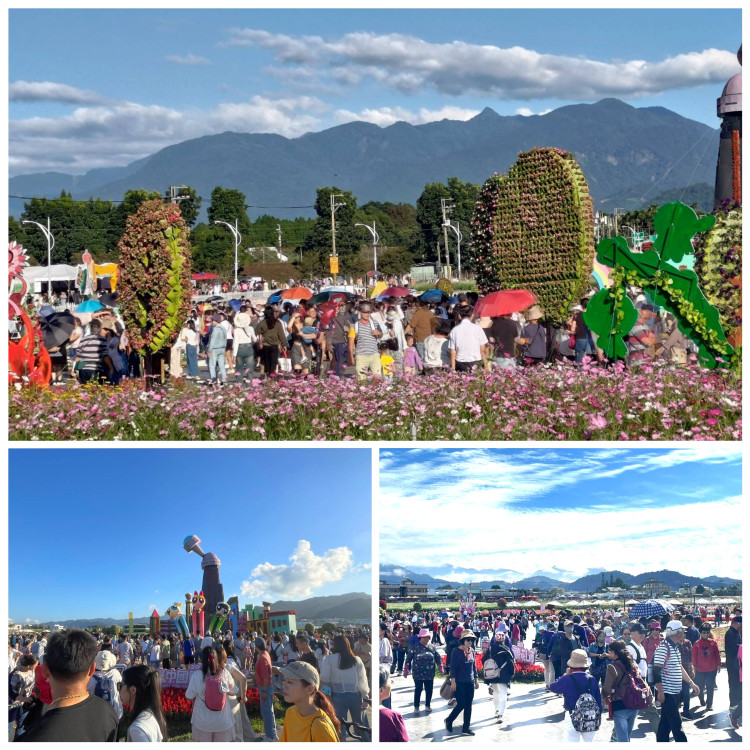 花海花毯節人氣旺、在地特產500條杏鮑菇香腸免費送   橘色波斯菊、紅色百日草、本週大爆發