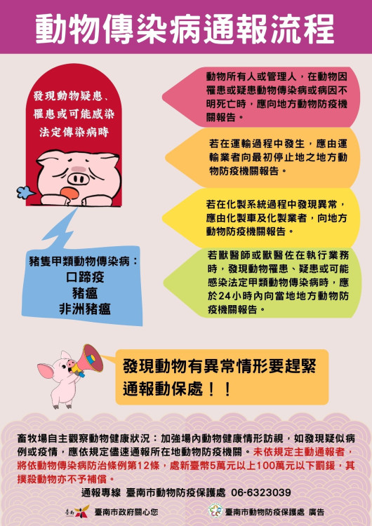 肉品市場恢復豬隻拍賣與屠宰市府嚴密防疫守護國人餐桌安全