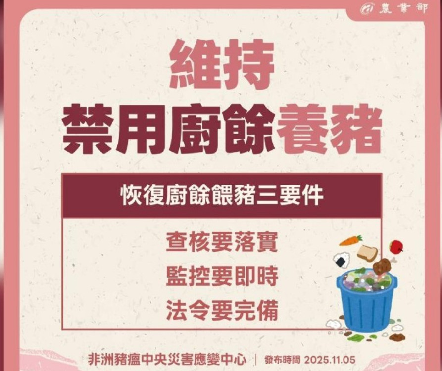 解禁了！無新案例   11/6中午解活豬禁運令、廚餘養豬續禁   中市府3大配套措施因應