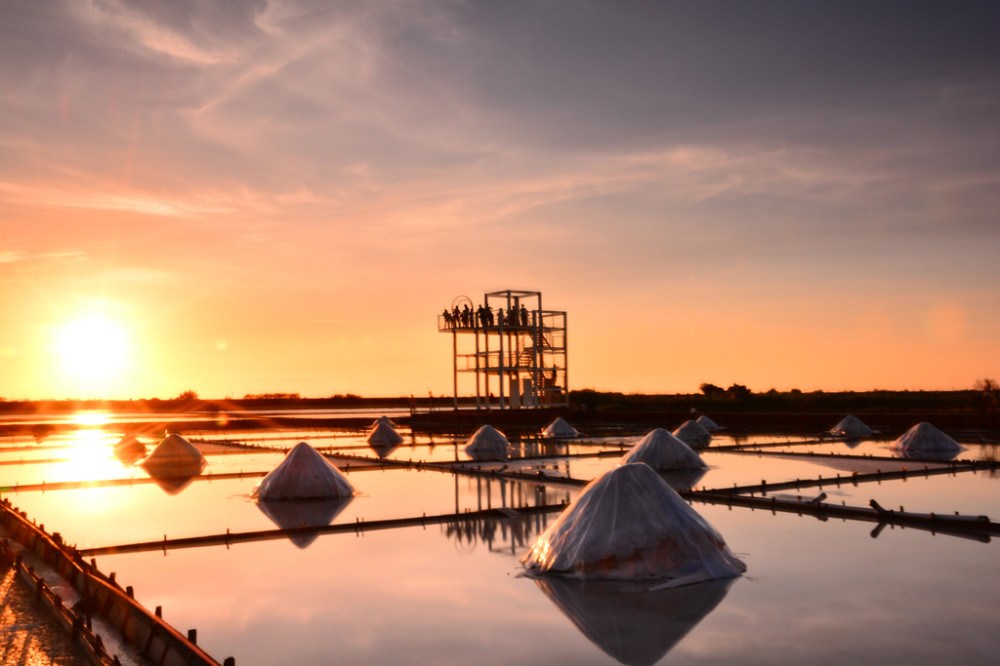 雙春濱海遊憩區首階工程完工！南側紅樹林棧道抬高防淹 115 年全段開放