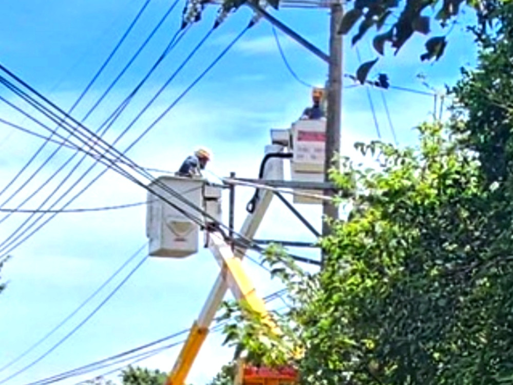 台電新竹超前部署戒備鳳凰颱風　預防性修剪樹竹減少壓倒造成停電可能　