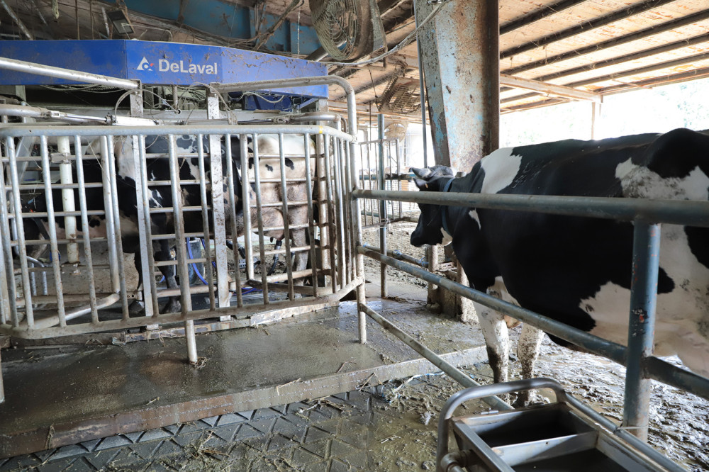 中興大學畜產試驗場通過動物福利標章評鑑  全國首座獲認證大學畜牧試驗場