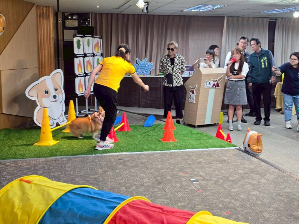 2025 虎頭埤水與綠萌寶戲水節 16 日登場 親子毛孩同樂