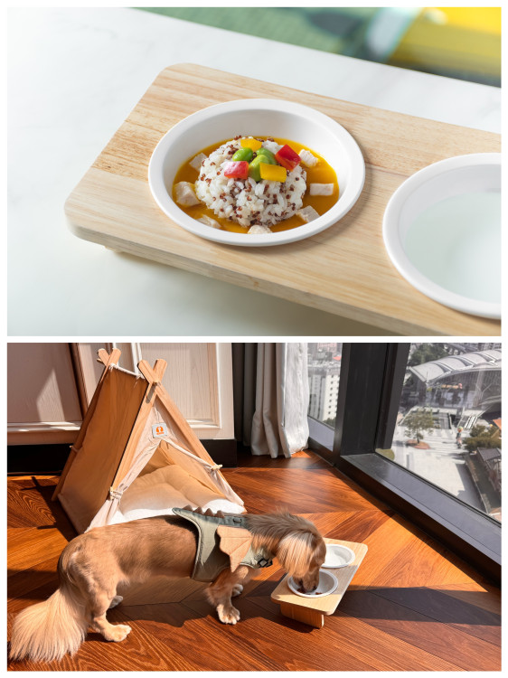 「終於等到這一天！」台中李方艾美宣布寵物可入住　