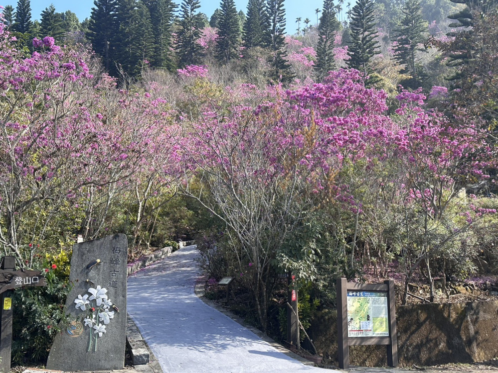 送夕陽迎曙光 臺南跨年全區精彩活動邀民眾同歡