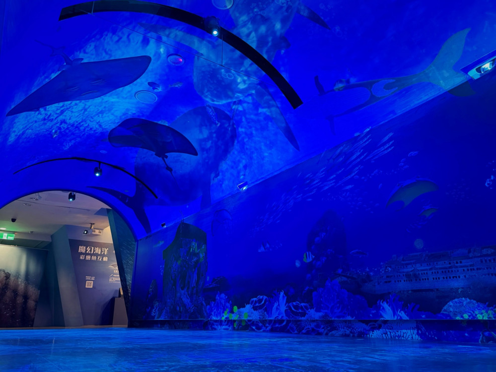 年底必看展覽！十三行水下考古展開幕　完整「安平壺」出水真品難得亮相！