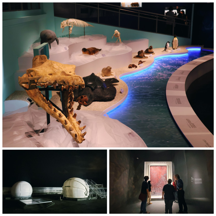 科博館跨域合作再升級 攜手海生館共創科學新亮點