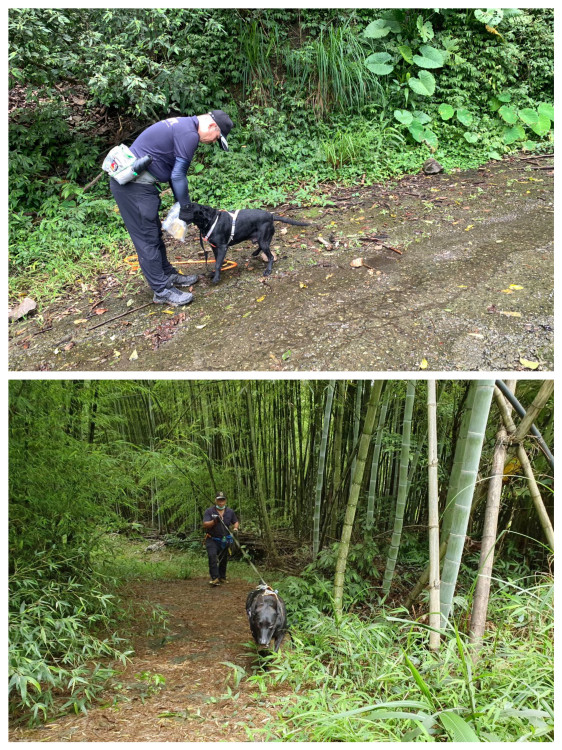 階段性任務達成！搜救犬JACOB、WONDER光榮卸任