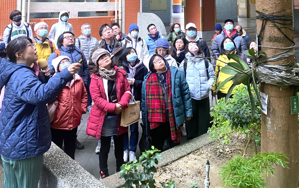 守護校園綠蔭安全　新北教育局攜手農業局強化樹木健康管理專業