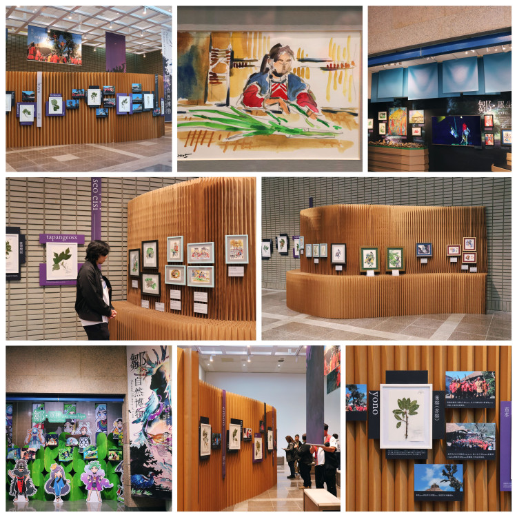 走進山林與眾神之間　  科博館《鄒．自然博物》展現鄒族自然世界