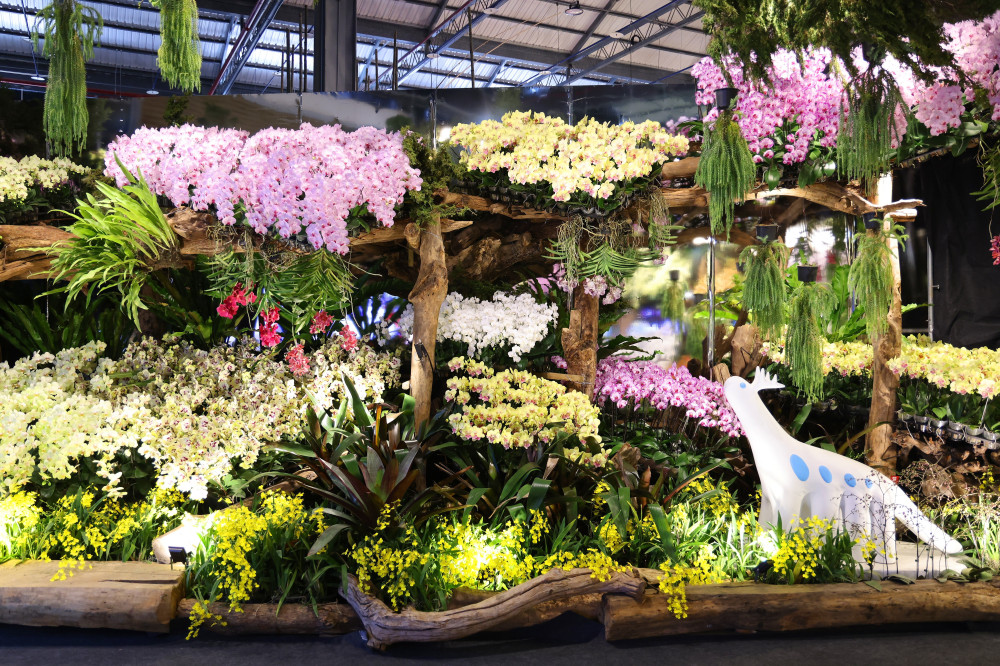 蘭韻之夜驚豔府城！賴清德總統主持國際蘭展開幕 宣布啟動園區二期擴建工程