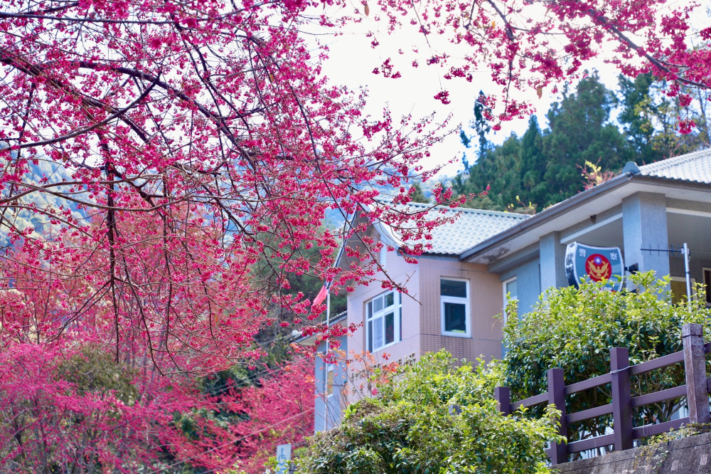 盧秀燕親赴全台最高衛生所  達成任內訪視和平區所有派出所＋衛生所目標