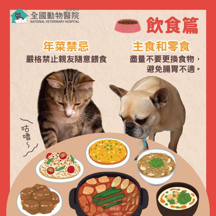 希望用不上、緊急全國幫！ 全國動物醫院連鎖體系 全台24小時急診醫院照常看診