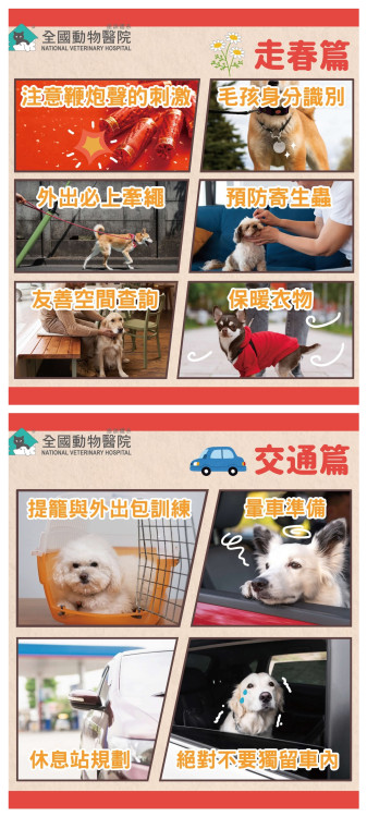 希望用不上、緊急全國幫！ 全國動物醫院連鎖體系 全台24小時急診醫院照常看診