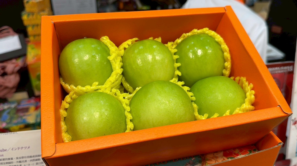  每週狂銷800公斤！台南蜜棗登新加坡，成當地年節人氣伴手禮