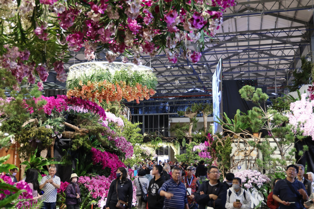 2026台灣國際蘭展後壁盛大開園！黃偉哲：每6株蘭花就有1株產自台南