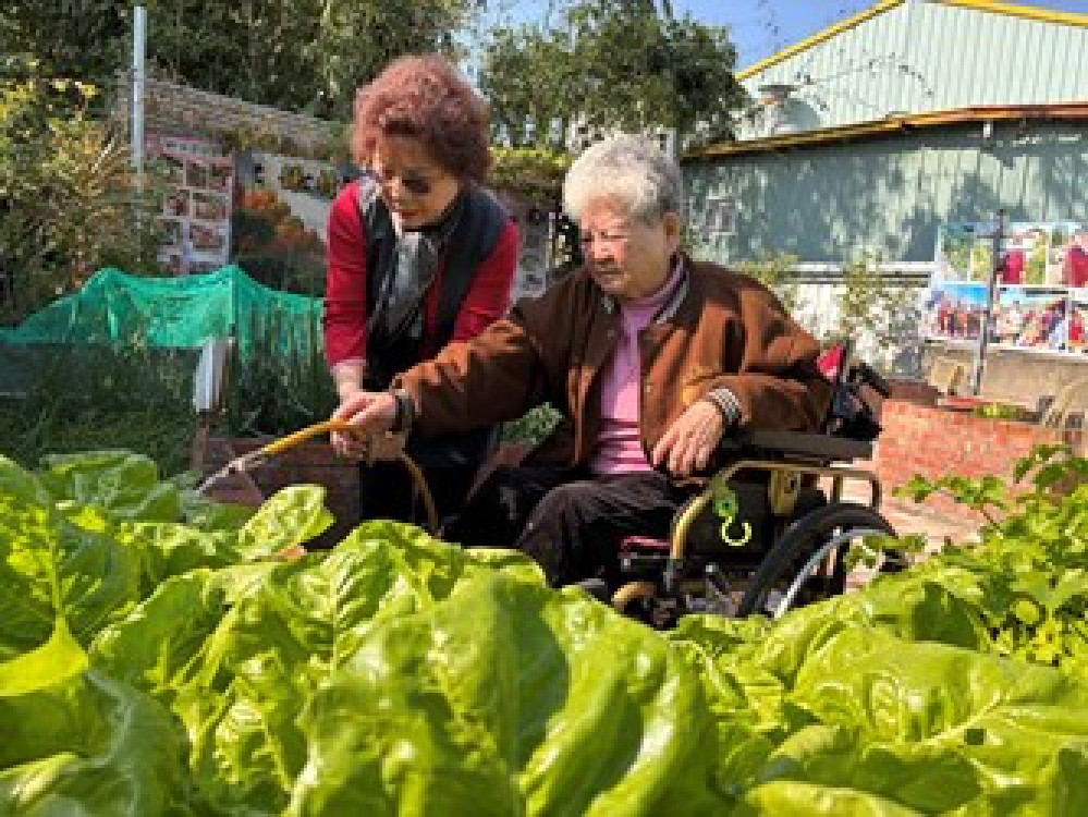 臺中據點秀出銀髮力　勇奪衛福部金點獎3項大獎