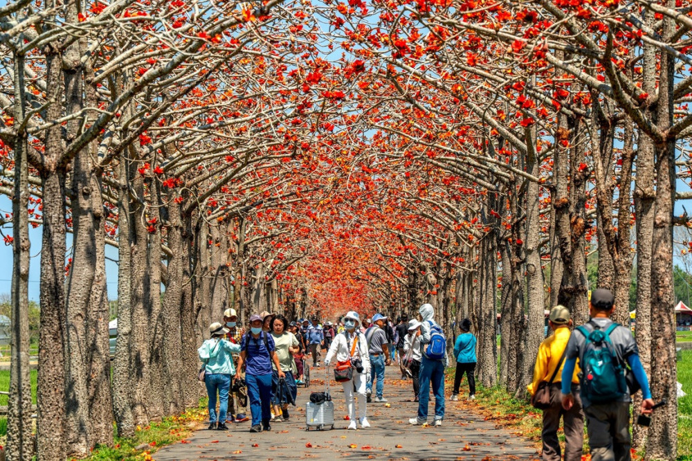 蘭展倒數計時！黃偉哲邀民賞花 串聯後壁、白河、學甲打造春季繽紛之旅
