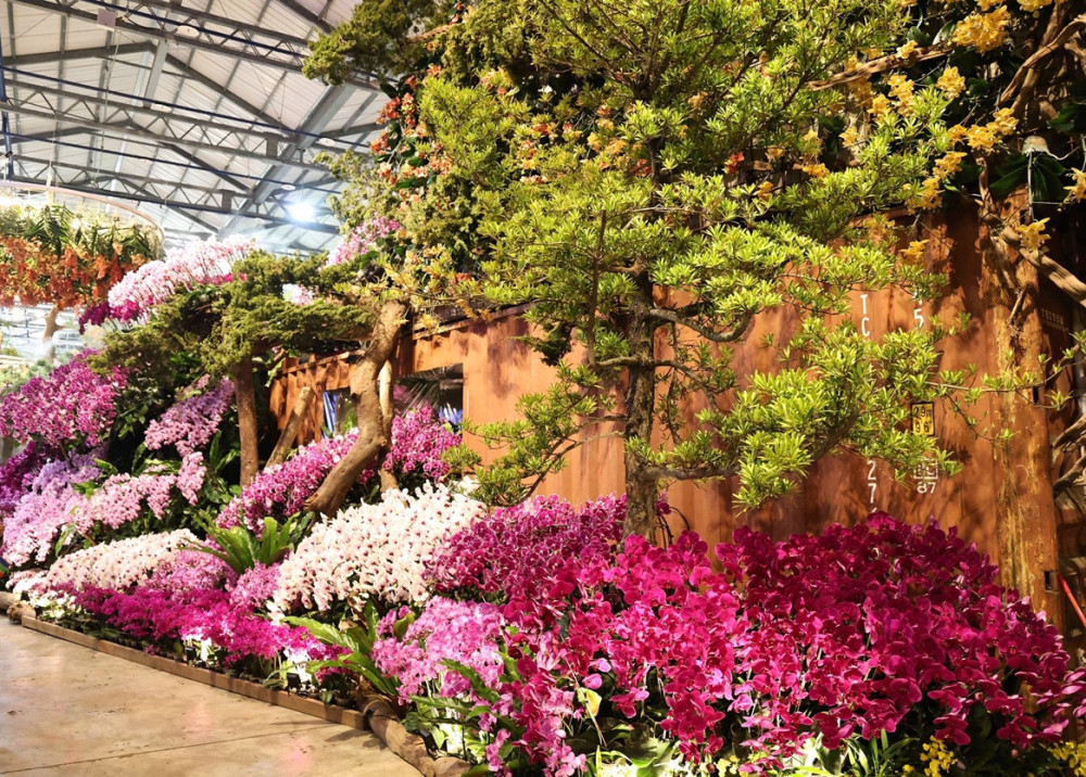 蘭展倒數計時！黃偉哲邀民賞花 串聯後壁、白河、學甲打造春季繽紛之旅