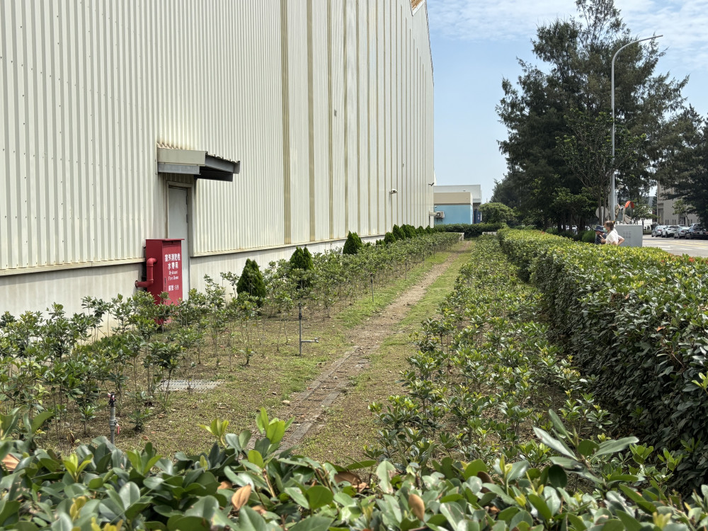 中市環保局推「廣植栽、廣植林」積極 輔導學校、社區、企業共同打造花園城市