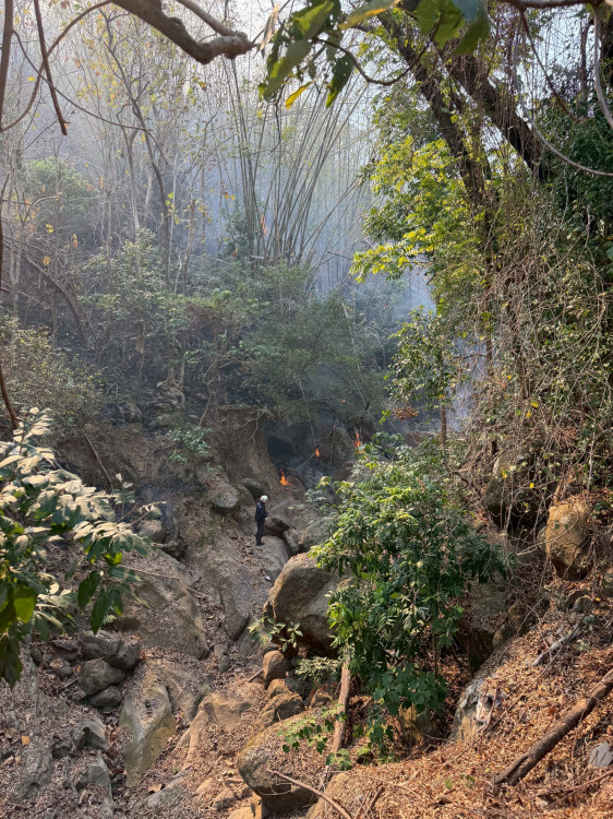 美濃山區火警頻傳  高市府籲清明掃墓落實防火安全