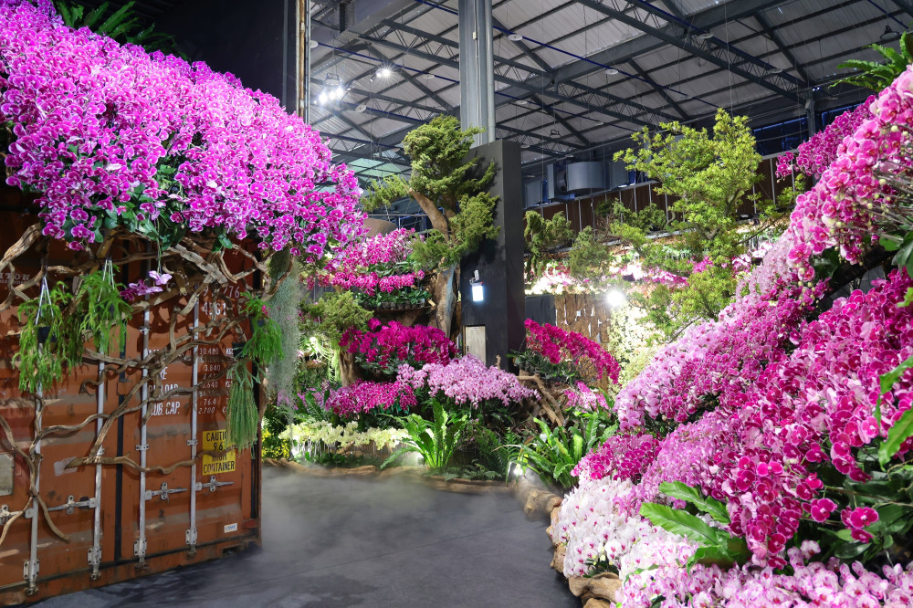 回歸自然本質！2026台灣國際蘭展「綻放館」登場 四大亮點看見島嶼韌性