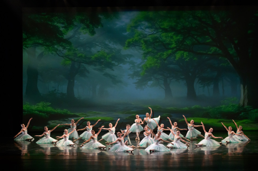 臺南市國小美術及舞蹈藝才班 3 月 9 日起報名