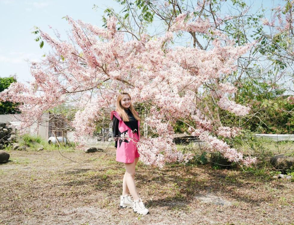 台南「2026 螢光花泉季」將至 漫遊之旅開放報名