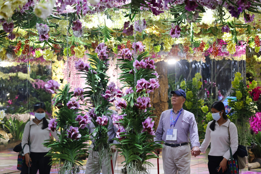 回歸自然本質！2026台灣國際蘭展「綻放館」登場 四大亮點看見島嶼韌性