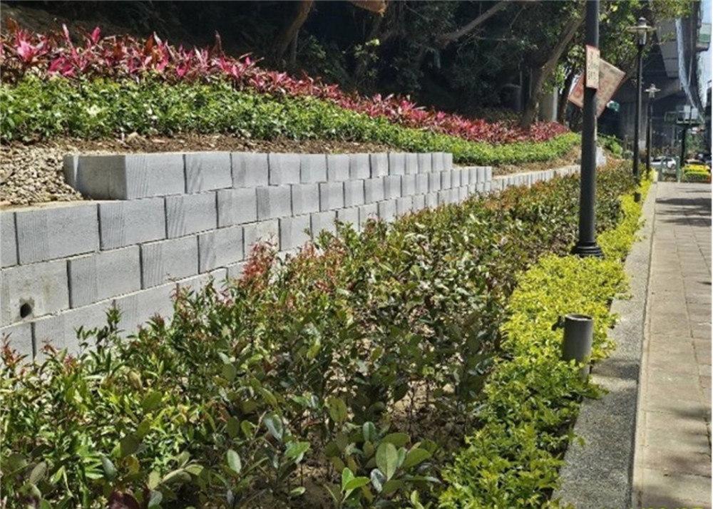 新北綠家園成果超有感　翻轉零碎空間成為城市小綠洲