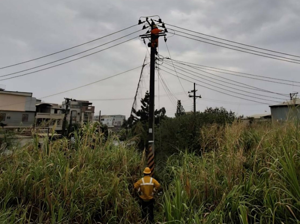 雷雨襲擊礙子破損 台電人員鋸草開道力拼大樹區復電