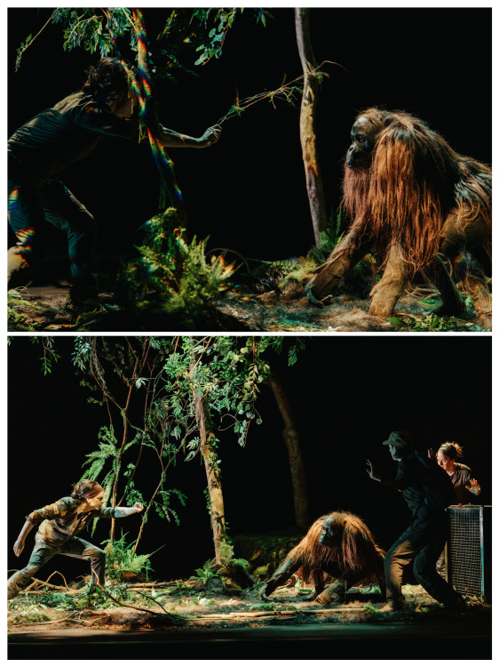 無需台詞就讓人原地發瘋！《這就是人「森」啊！》荒誕揭示末日寓言