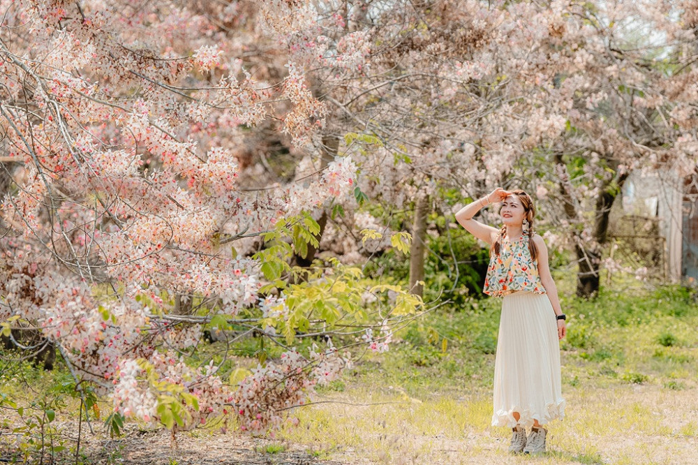 臺南推「螢光花泉季」解鎖計畫，住宿免預約再抽好禮