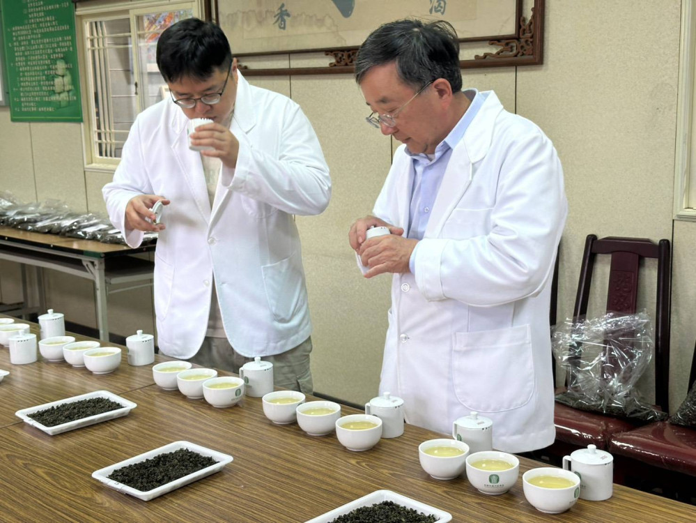 桃園春季蘆峰烏龍茶分級評鑑賽 陳曉儀勇奪特等