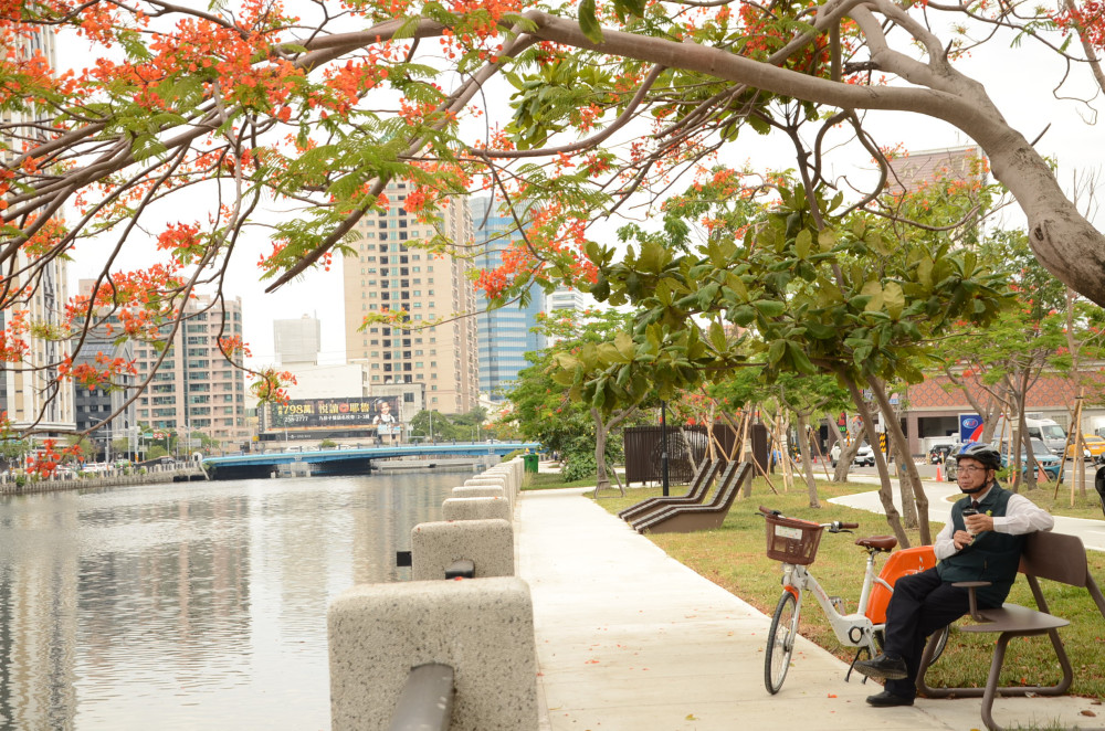 臺南市長黃偉哲騎YouBike賞鳳凰花　邀全民暢遊安平運河百年風華