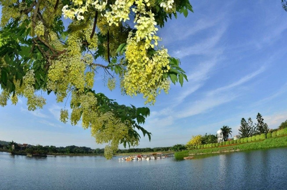 臺南推「旅遊臺南・住宿點數」活動 鼓勵平日旅遊分流