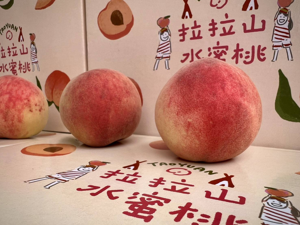 桃園媽媽桃產季啟動 「媽媽樂桃桃-粉紅市集」母親節甜蜜上市