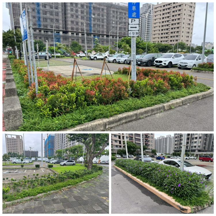 停車場變身城市小綠洲  中市交通局11處場域獲綠美化評核肯定
