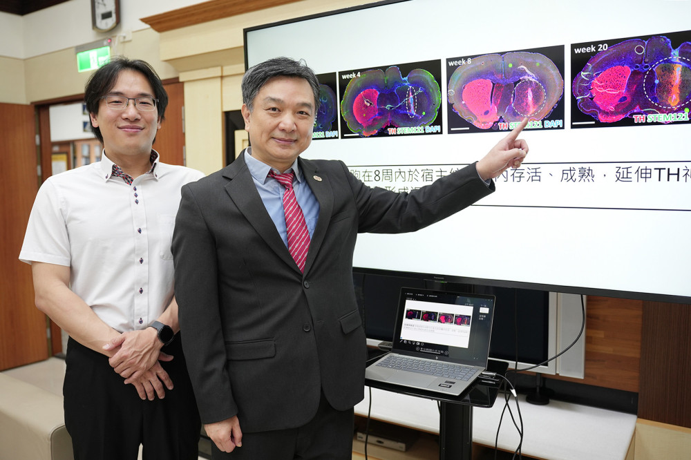 興大與慈濟醫療法人研發「即用型」iPSC 神經球  突破巴金森氏症治療枷鎖  登6月國際期刊