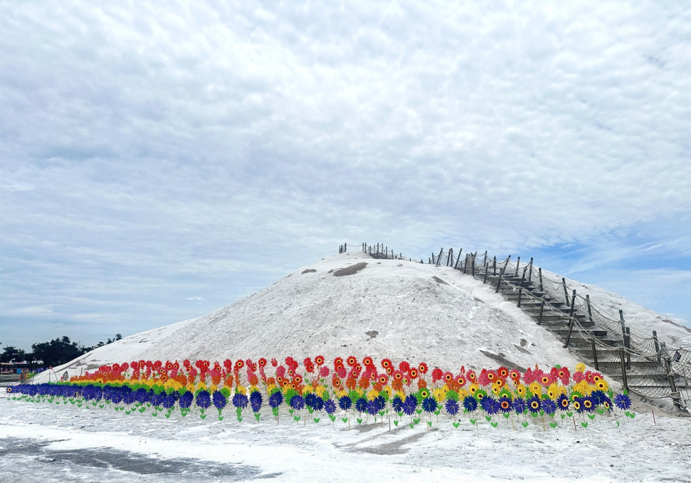 端午連假玩臺南 龍舟賽、蓮花季與特色市集接力登場