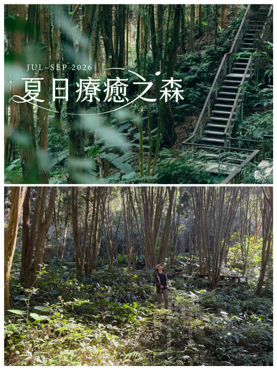 台中首場！國際藝術家優席Yosifu「薰衣草森林新社園區」開唱